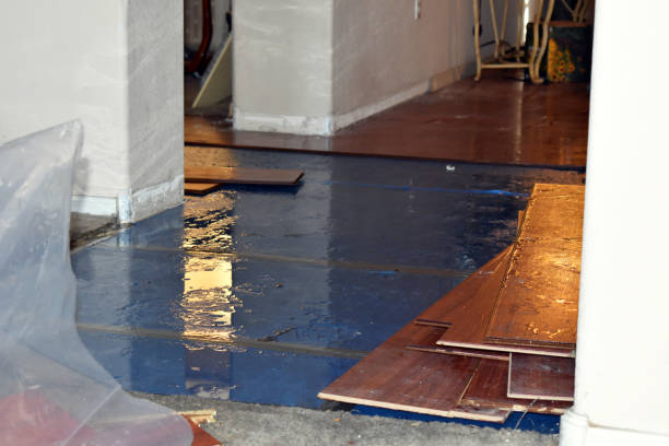Professional Burst Pipe Cleanup technician working in Dinuba, CA